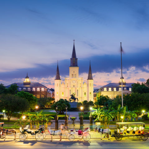 The French Quarter: A Love/Hate Relationship